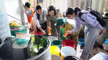 Kiểm tra lăng quăng tại hộ gia đình thuộc ấp Cầu Xây, xã Gia Thuận. Ảnh: CDC Đồng Tháp. 
