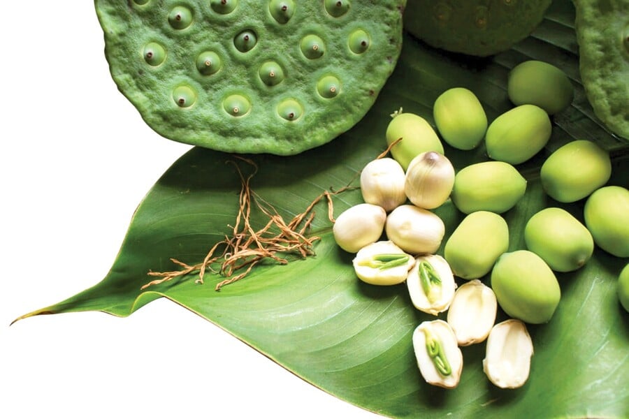 Hạt sen và tâm sen mang lại nhiều sức khỏe tim mạch (Ảnh minh họa)