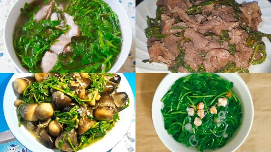 Trong y học cổ truyền rau đắng được dùng để an thần, thư giãn (Ảnh minh họa) 