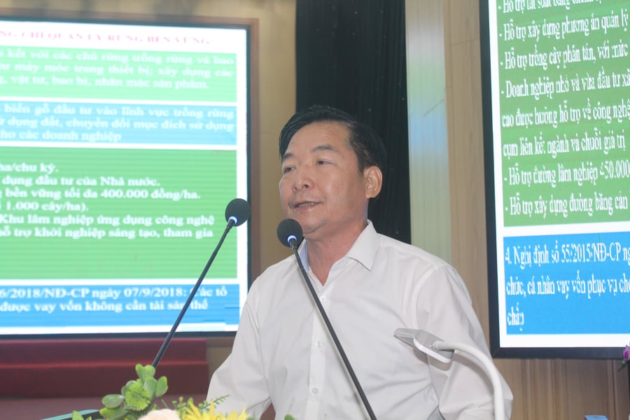 Ông Nguyễn Văn Diện, Cục phó Cục Lâm nghiệp và Kiểm lâm 