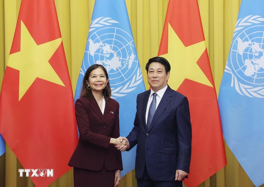 Ủy viên Bộ Chính trị, Chủ tịch nước Lương Cường tiếp Điều phối viên thường trú Liên Hợp Quốc Pauline Tamesis (Ảnh: TTXVN)