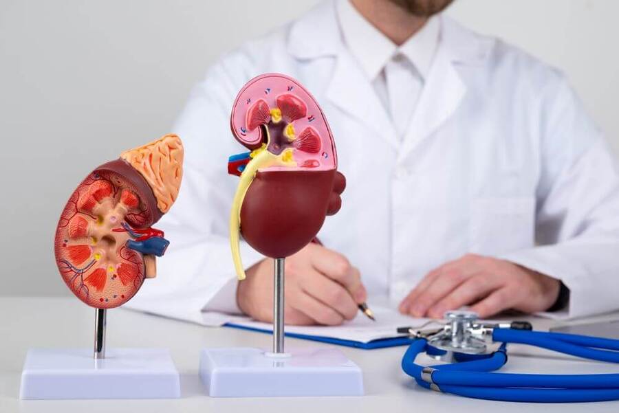 Kiểm tra sức khỏe thường xuyên để phát hiện các dấu hiệu bất thường của thận (Ảnh minh họa)