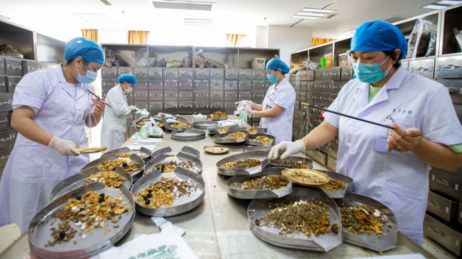 Thuốc cổ truyền không kê đơn phải bảo đảm an toàn cho người sử dụng, bảo đảm việc tiếp cận thuốc cổ truyền kịp thời cho người dân...