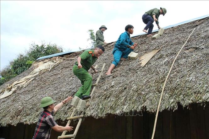 Lực lượng chức năng gia cố mái nhà cho người dân trước bão số 3. Ảnh: TTXVN phát