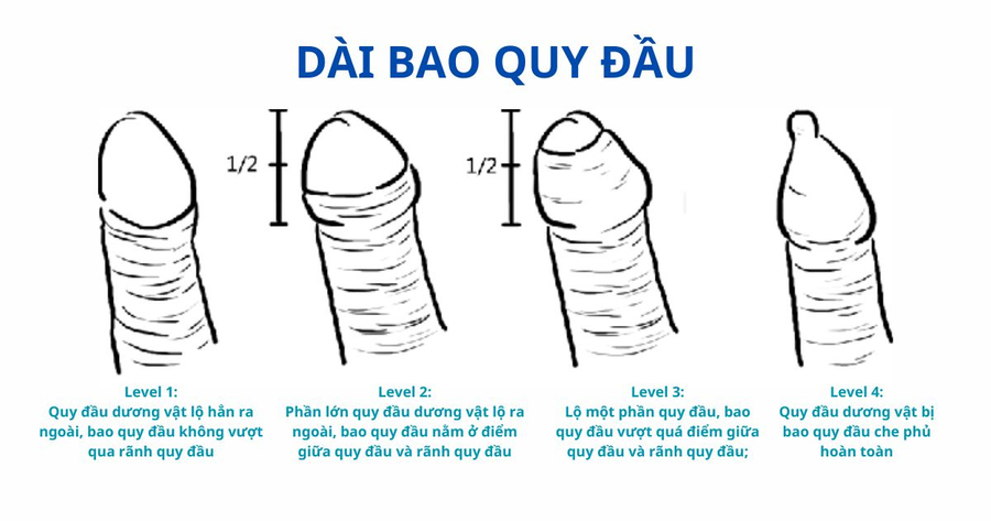 dai-bao-quy-dau-co-quan-he-duoc-khong-1
