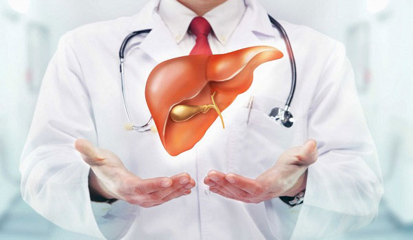 Gan là cơ quan nội tạng lớn nhất trong cơ thể, đảm nhận nhiều chức năng quan trọng