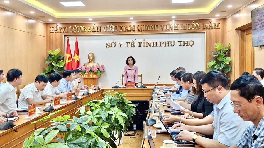 Thứ trưởng Bộ Y tế Nguyễn Thị Liên Hương phát biểu tại buổi làm việc