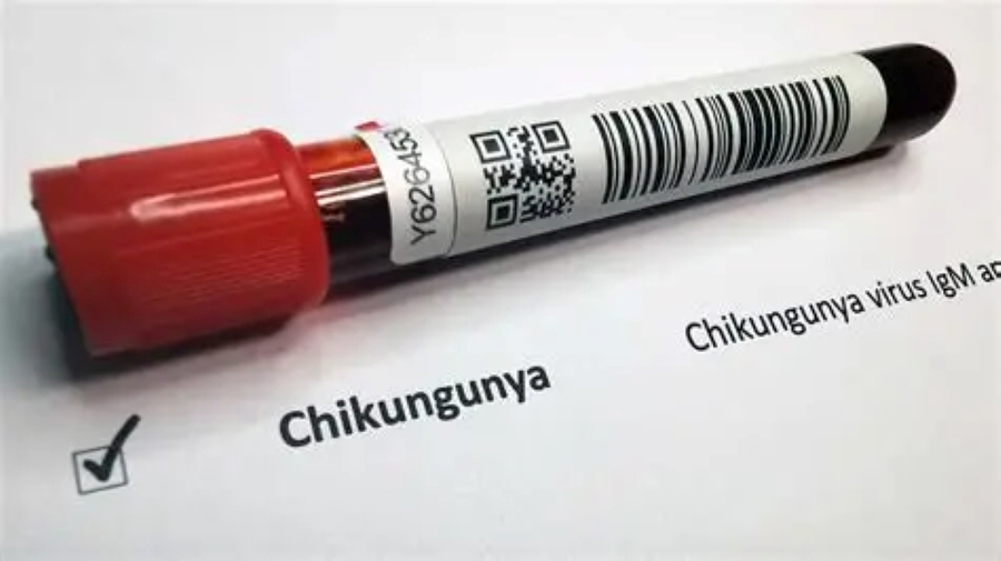 Tránh bị muỗi đốt là cách tốt nhất để phòng chống nguy cơ nhiễm virus Chikungunya (Ảnh minh họa)