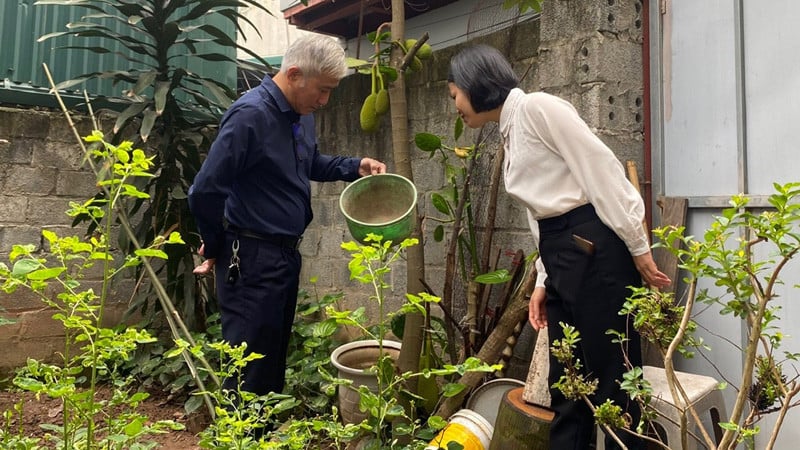 Tuyên truyền cho người dân tích cực diệt lăng quăng, bọ gậy tại các hộ gia đình (Ảnh minh họa)