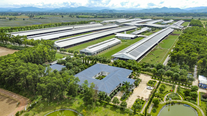 Hệ thống 15 trang trại đạt chuẩn Organic châu Âu và Global S.L.P là nền tảng giúp Vinamilk chủ động nguồn nguyên liệu chất lượng cao (Ảnh: Minh Anh)