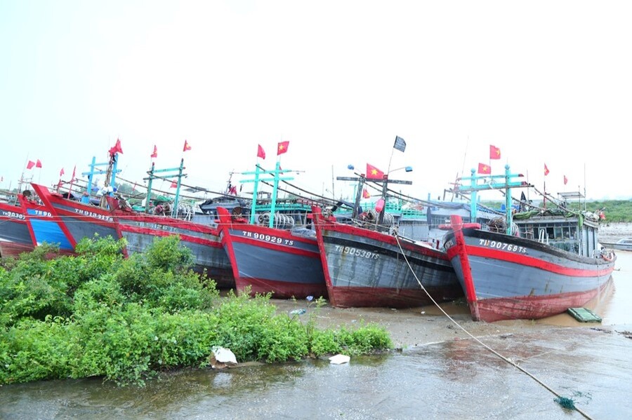 Các tàu thuyền được di chuyển vào âu tránh bão an toàn