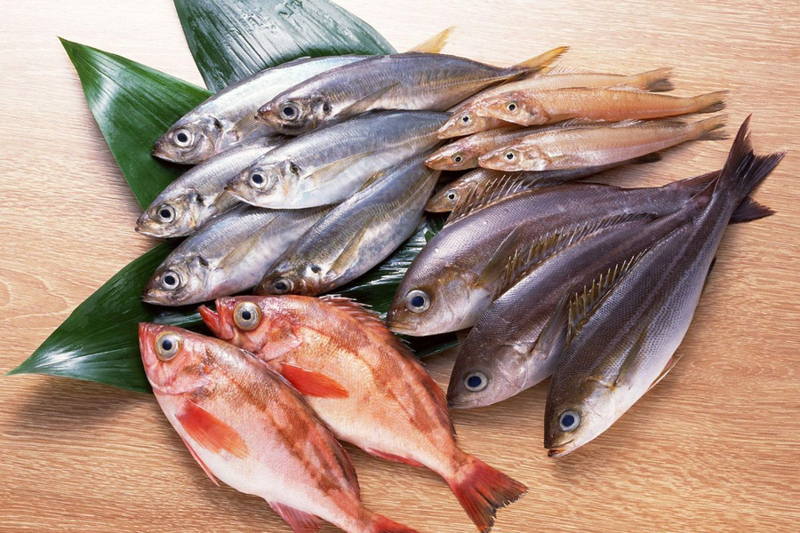 Những người mắc bệnh mạn tính, cần tham khảo ý kiến bác sĩ trước khi đưa cá biển vào chế độ ăn (Ảnh minh họa)
