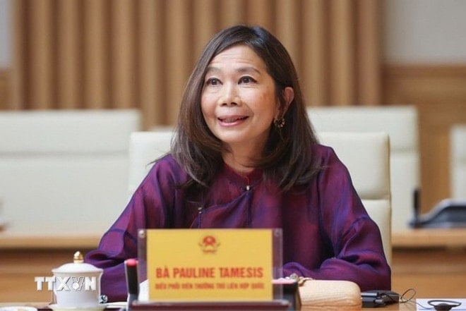 Điều phối viên thường trú LHQ tại Việt Nam Pauline Tamesis