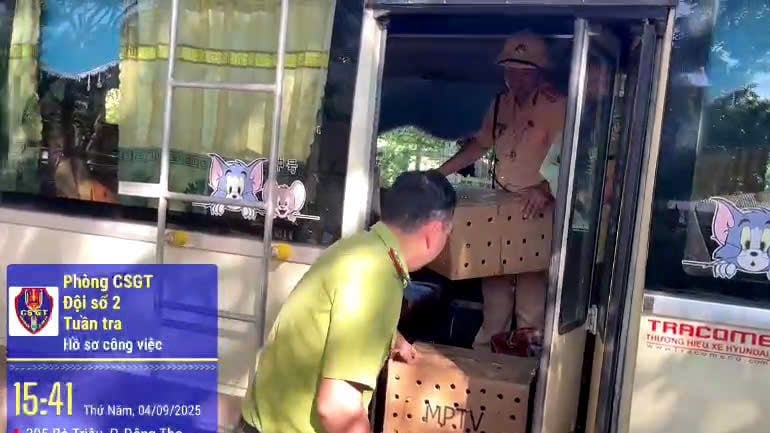 Lực lượng chức năng kịp thời phát hiện, giải cứu 136 cá thể chim chào mào
