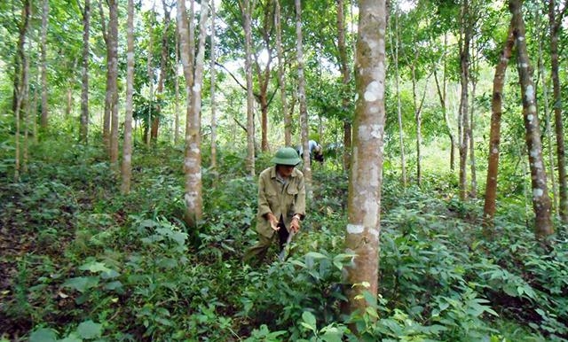 images2779798_21