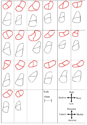 c1
