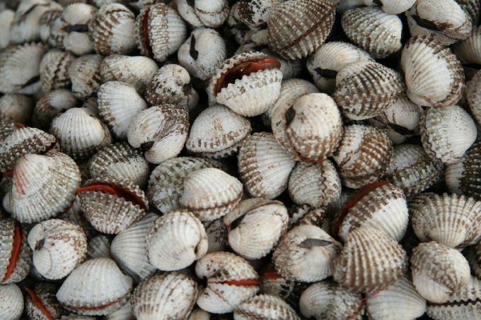 ngon