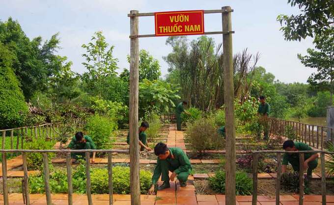 VUON THUOC NAM