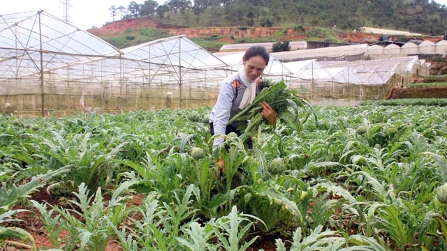 Ảnh minh họa
