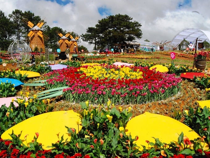 festival-hoa-dalat-3327
