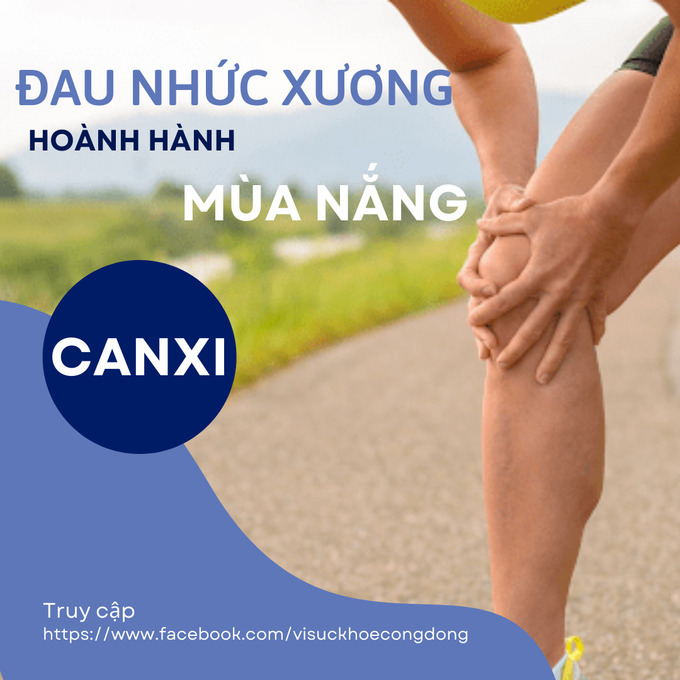 ANH 1 (1)
