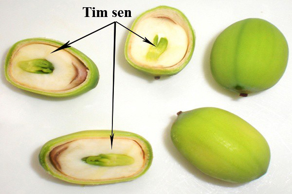 Tim sen. Ảnh: Internet