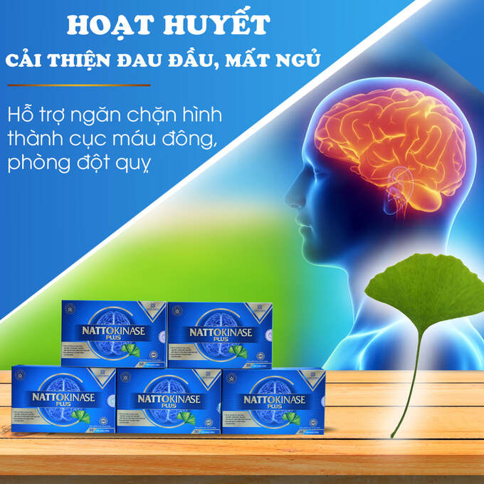 ANH 4 (2)