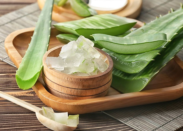 su-dung-nha-dam