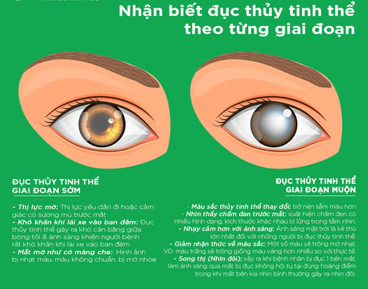 ducthuytinhthe