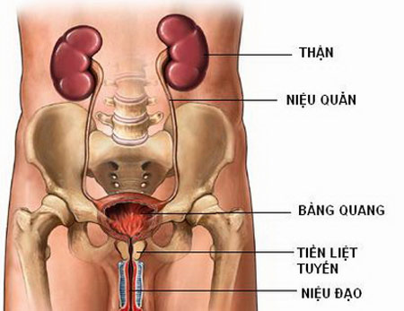 kham-than-tiet-nieu