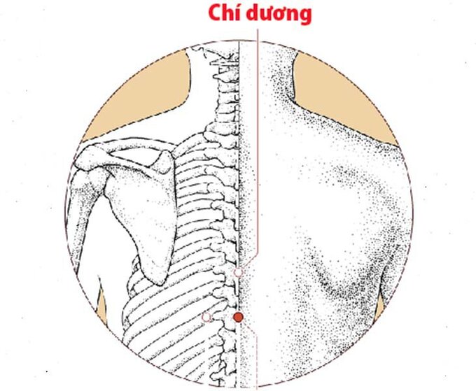 20211203_125405_858066_huyet-chi-duong.max-800x800