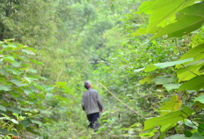 images1311410_2