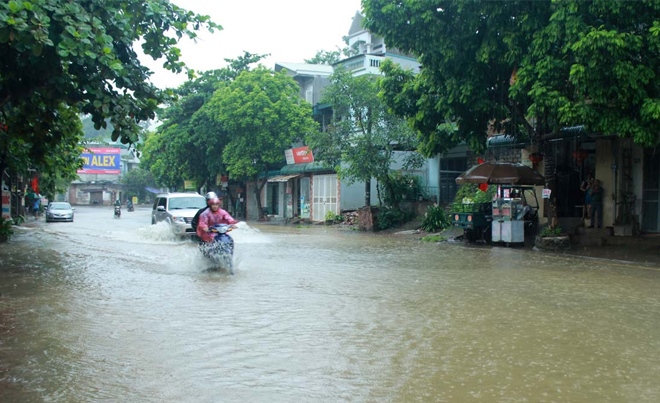 mua-lu-hoa-binh-08370602
