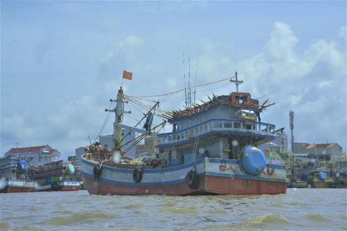 Ảnh minh họa