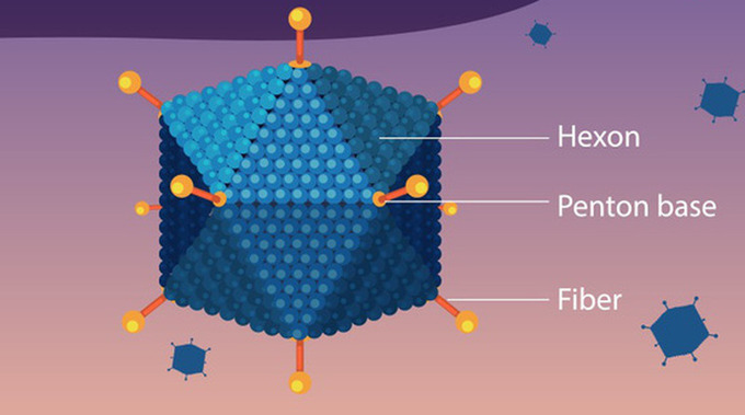 Ảnh minh họa