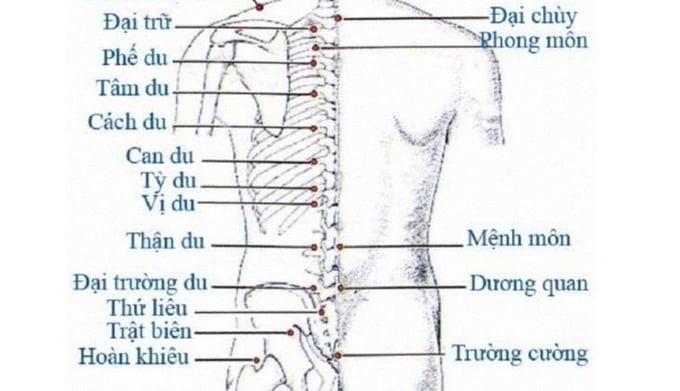 huyet-dai-truong-du-2