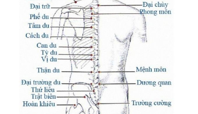 huyet-dai-truong-du-2