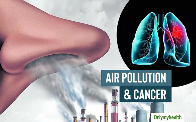 bigcancerpollution-1664197919865533284751-crop-16641979280101182946420