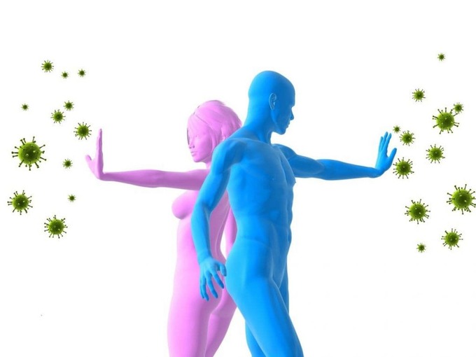 Anh 1