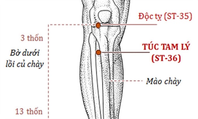 huyet-doc-ty