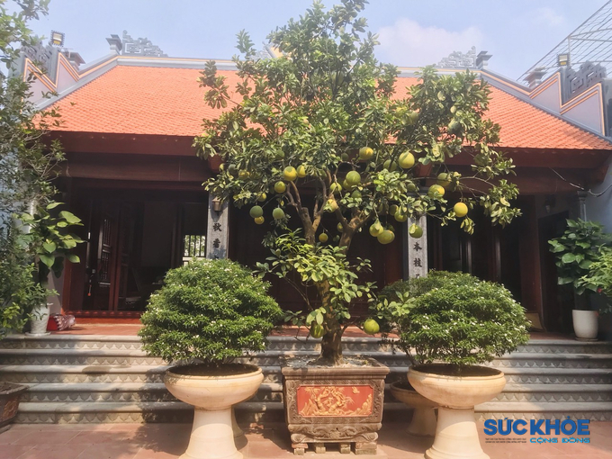 Ngôi nhà thoáng đãng với vườn cây xanh - Nơi cụ bà 101 tuổi sinh sống