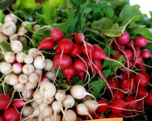 Lí do nên thêm củ cải vào chế độ ăn mùa đông. Ảnh minh họa