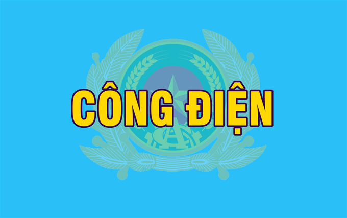 cds