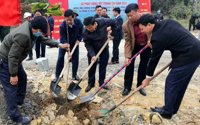 TP Uông Bí tổ chức lễ ra quân trồng cây đầu năm tại tuyến đường hành hương Yên Tử. Ảnh: QN