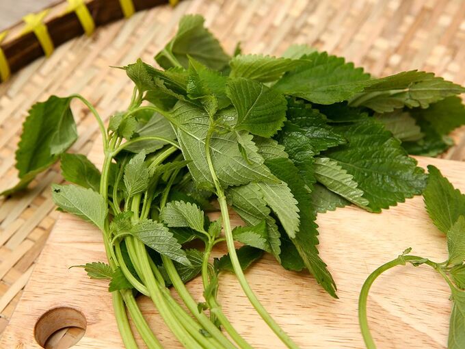 Empty
