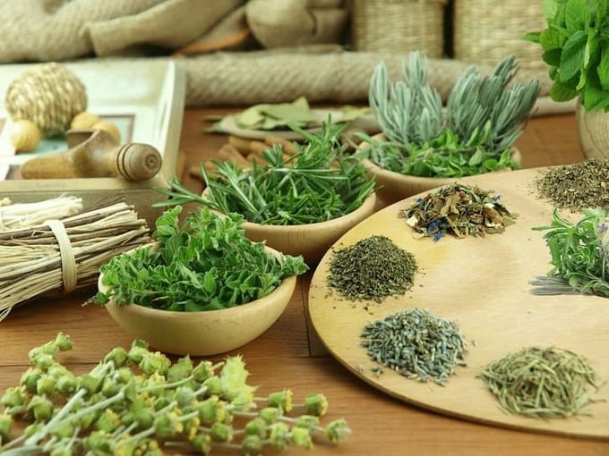 5 cây thuốc nam chữa bệnh hở van tim hiệu quả. Ảnh minh họa