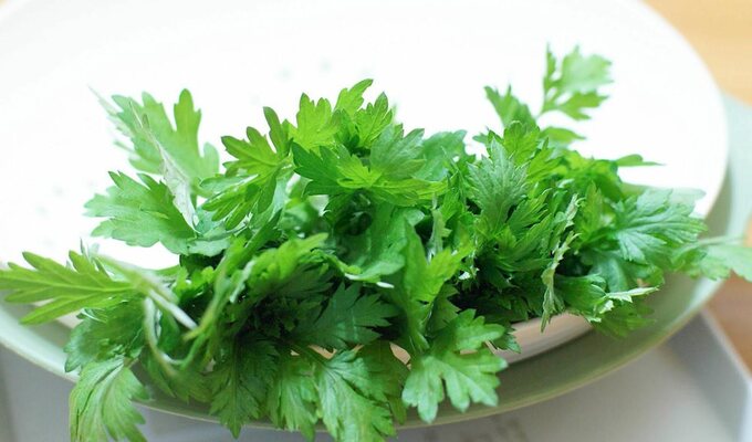 8 công dụng chữa bệnh tuyệt vời từ cây ngải cứu. Ảnh: Thầy thuốc Việt Nam