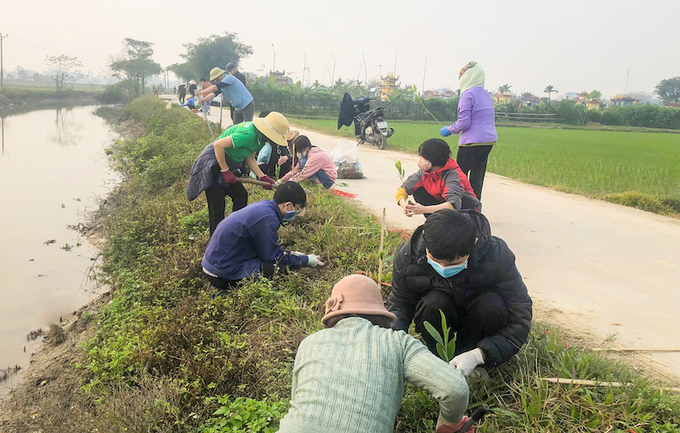 Phân nhóm trồng cây dọc hai bên kênh