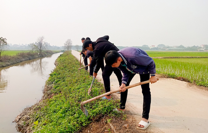 Các bạn trẻ tham gia đào hố trồng cây