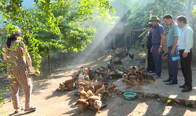 Ảnh: Báo Quảng Bình